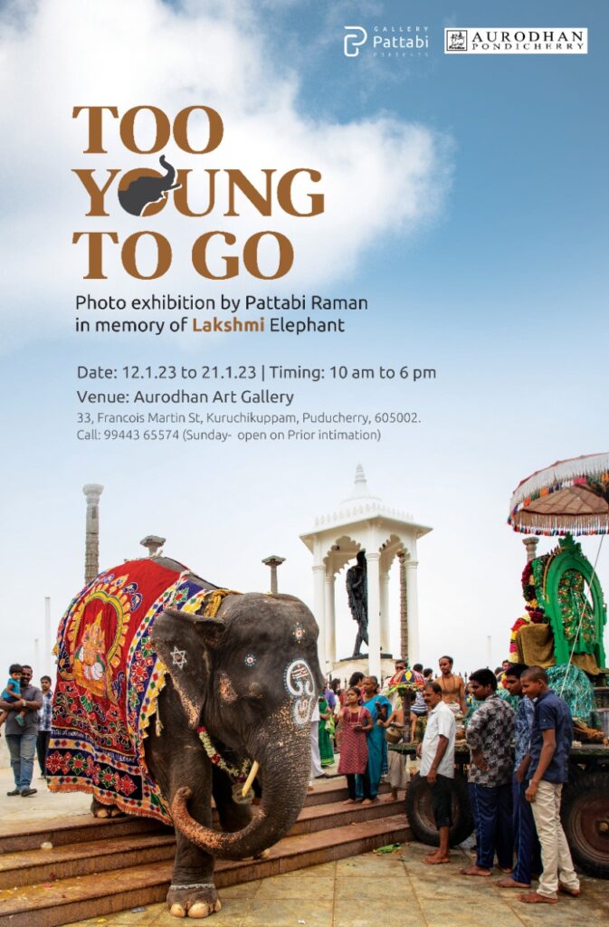 Pattabi Raman Photo Exhibition: Too Young to Go by Pattabi Raman – ongoing till 21 ...