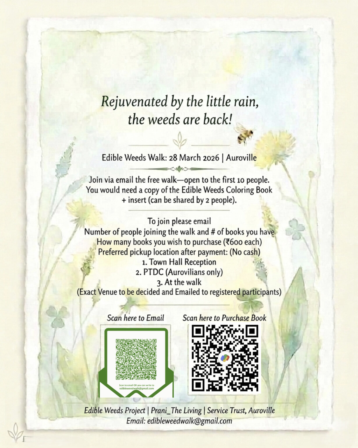 Edible Weeds Walk – Auroville